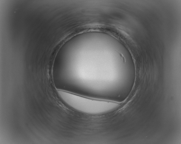 X0000071381209200606230905