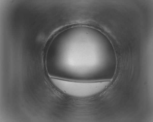 X0000071381214200606230905