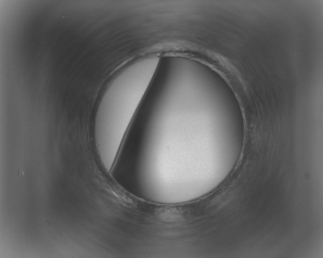 X0000071381217200606230905