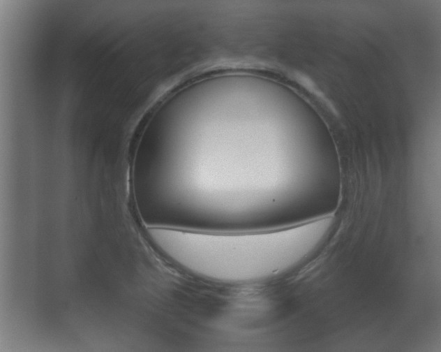 X0000071381221200606230905