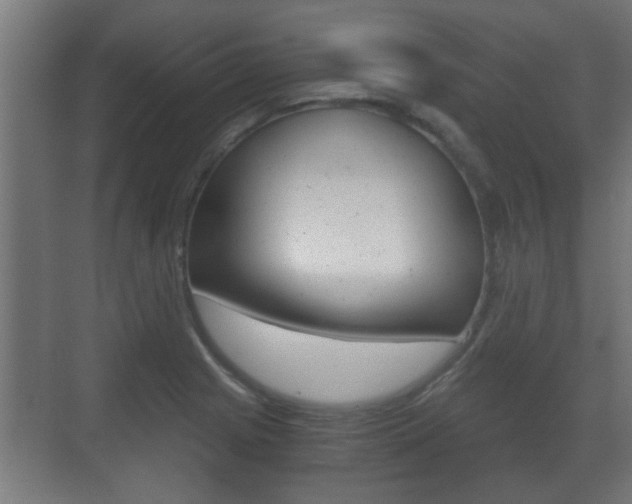 X0000071381225200606230905