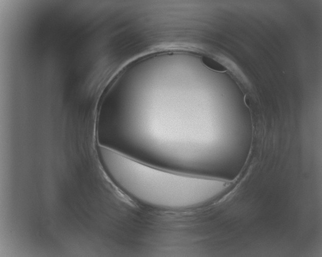 X0000071381228200606230905