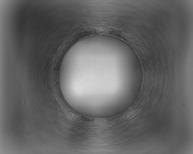X0000071381249200606230905