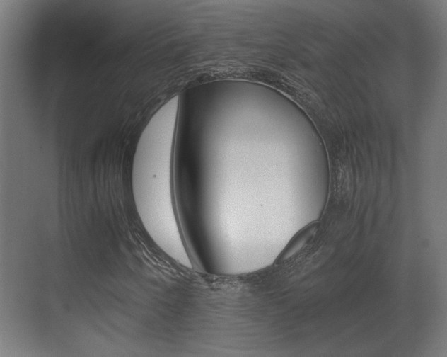 X0000071381250200606230905