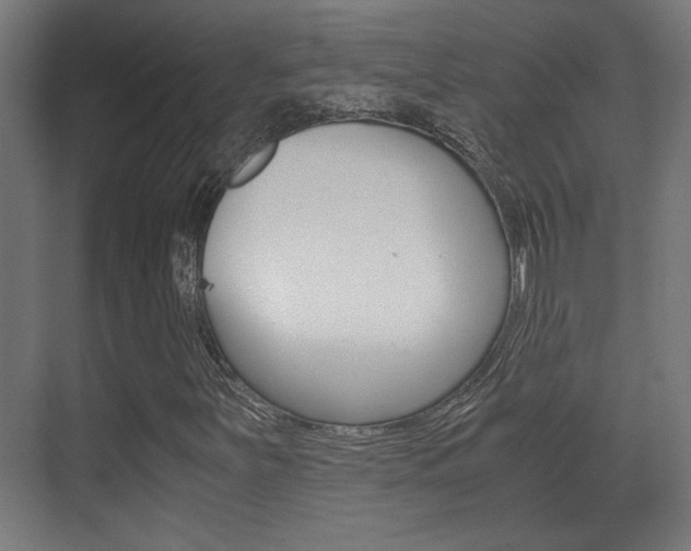 X0000071381251200606230905