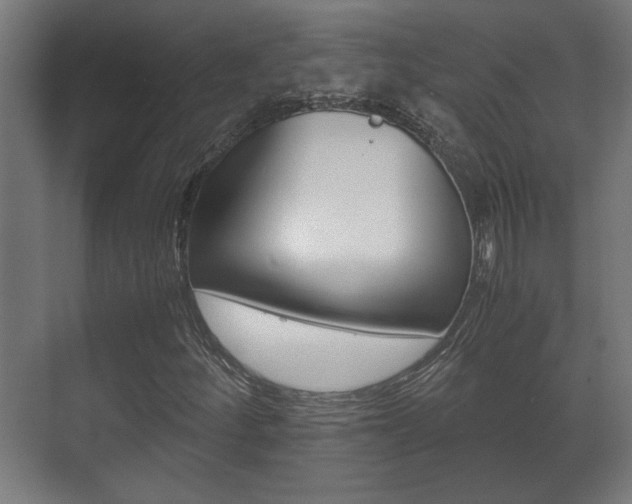 X0000071381252200606230905