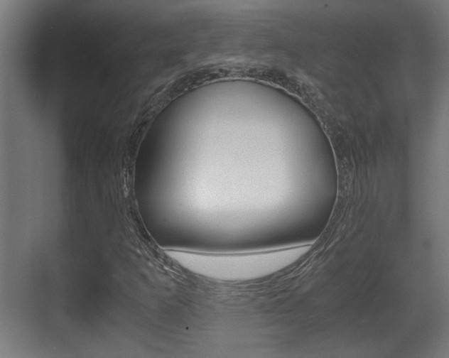 X0000071381253200606230905