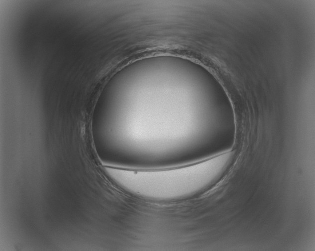 X0000071381257200606230905