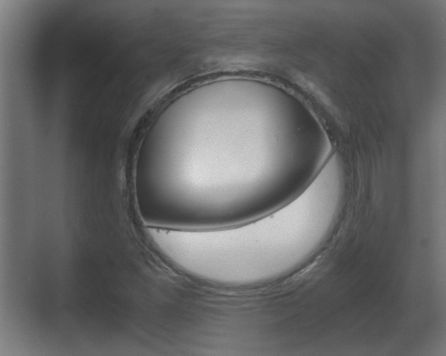 X0000071381261200606230905