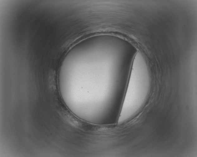X0000071381265200606230905