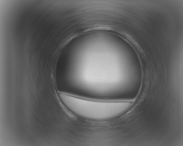 X0000071381281200606230904