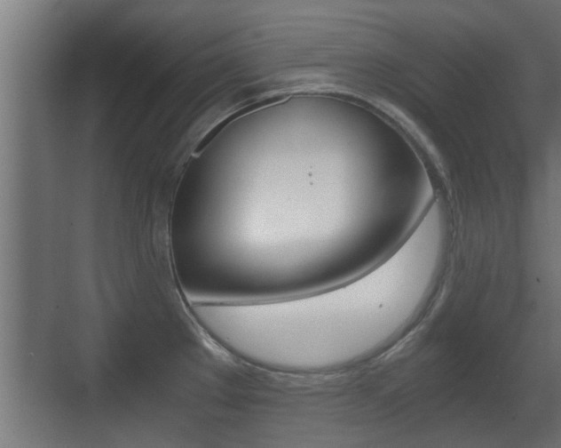 X0000071381289200606230904