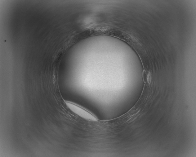 X0000071381299200606230903