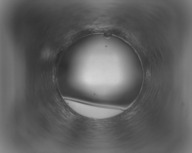 X0000071381300200606230903