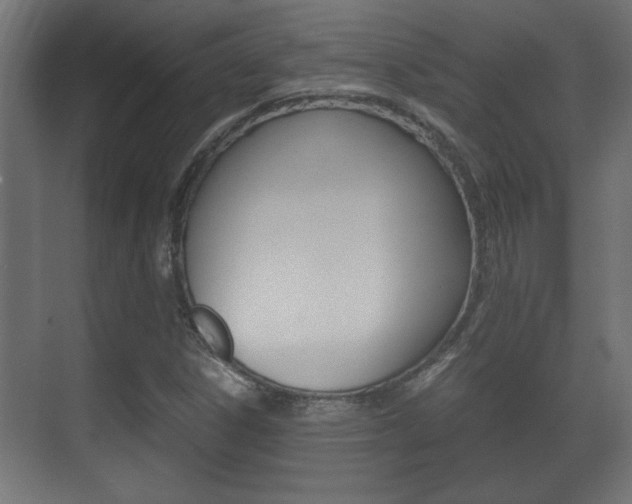 X0000071381306200606230903