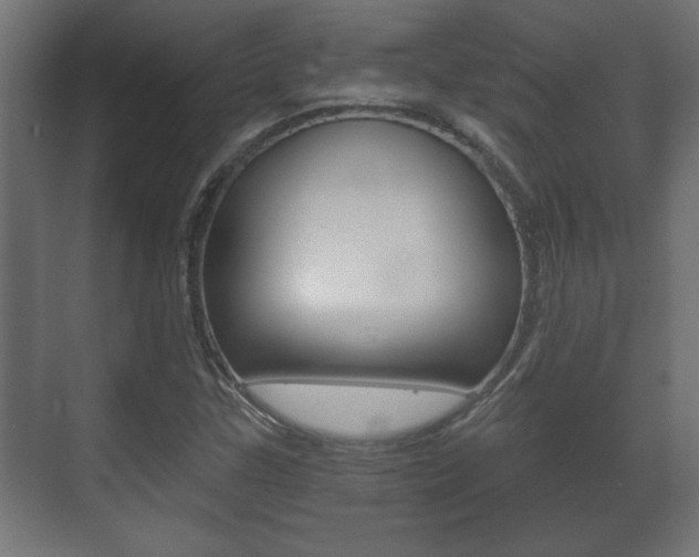 X0000071381307200606230903