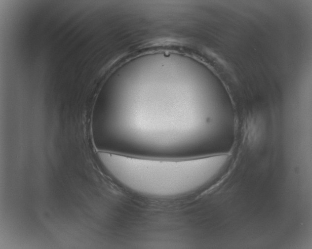 X0000071381313200606230903