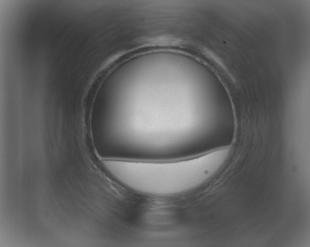 X0000071381315200606230904