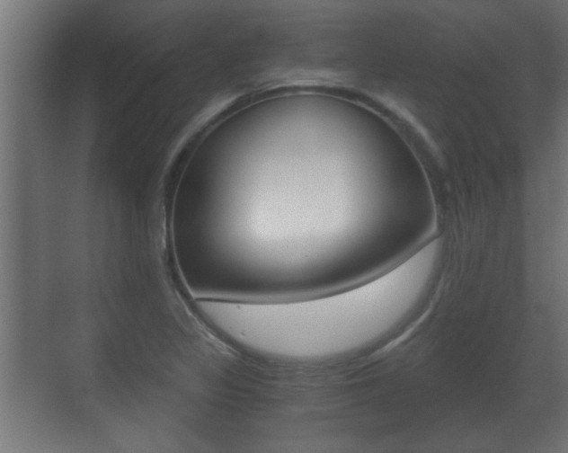 X0000071381317200606230904