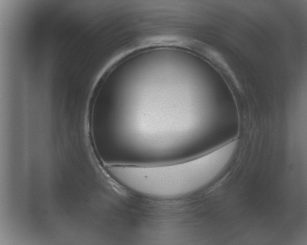 X0000071381328200606230904