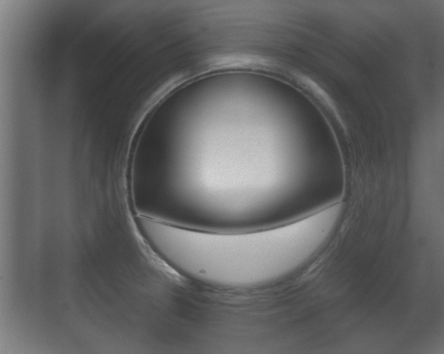 X0000071381330200606230904
