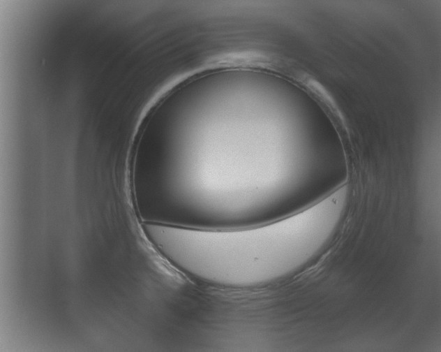 X0000071381336200606230904