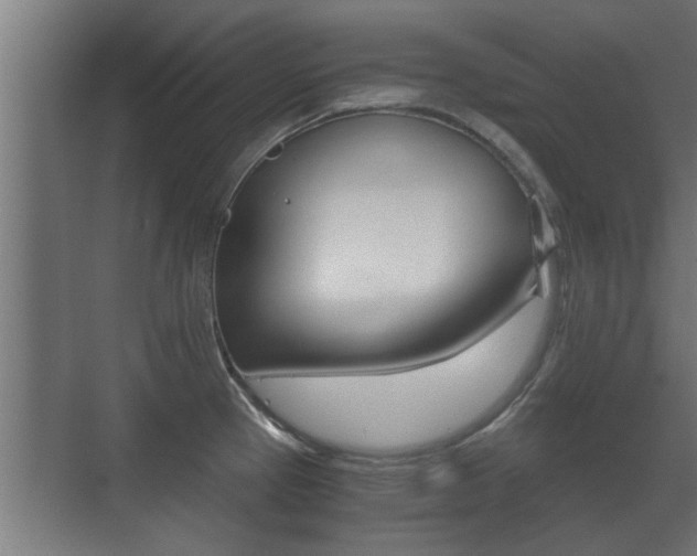 X0000071381337200606230904