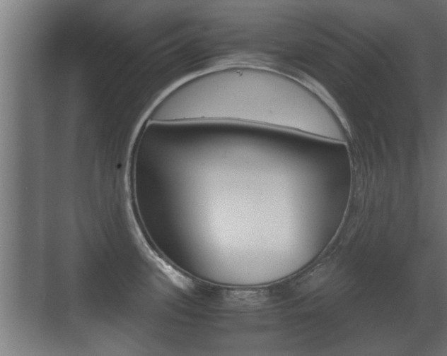 X0000071381339200606230904