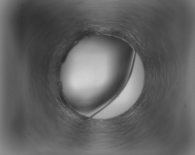 X0000071381345200606230903
