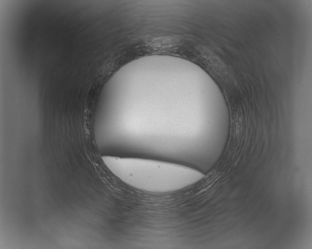 X0000071381346200606230903