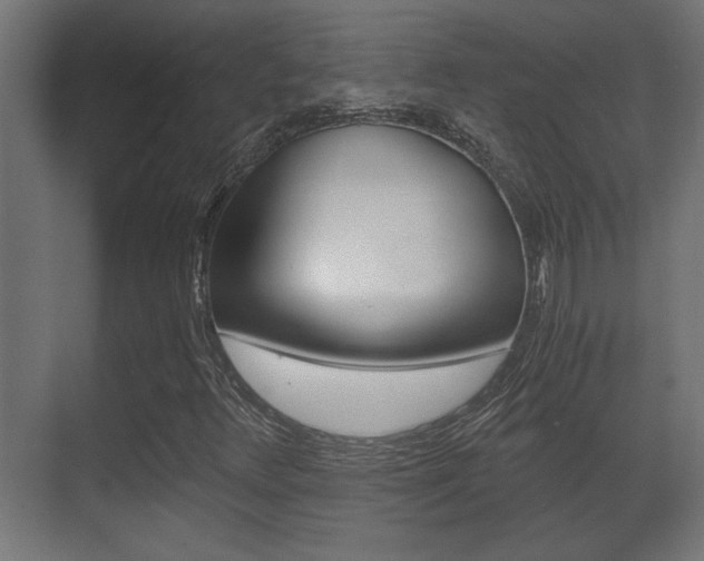X0000071381348200606230903