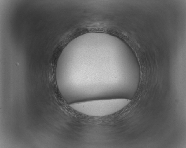 X0000071381350200606230903