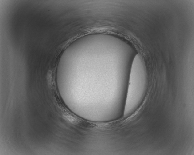 X0000071381353200606230903