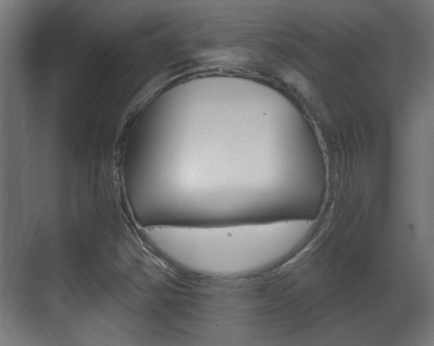 X0000071381354200606230903