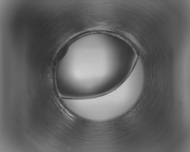 X0000071381356200606230903