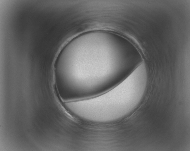 X0000071381371200606230903