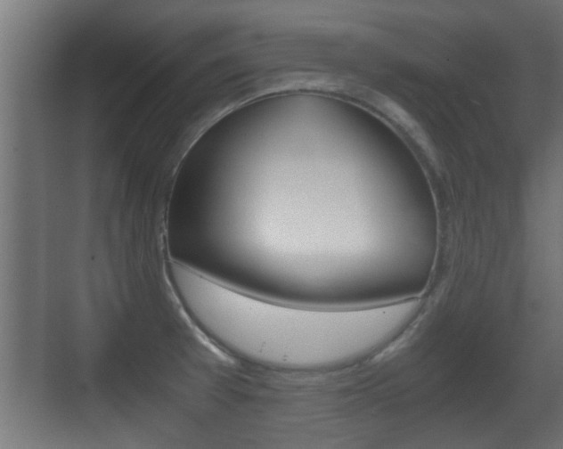 X0000071381377200606230903