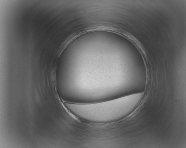 X0000071381385200606230903