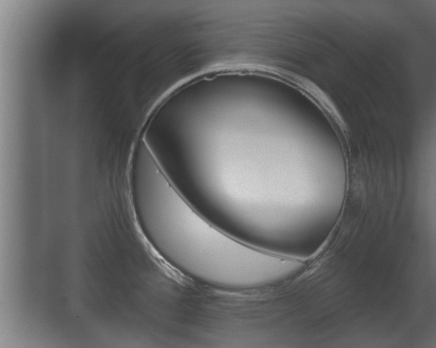 X0000071381388200606230902