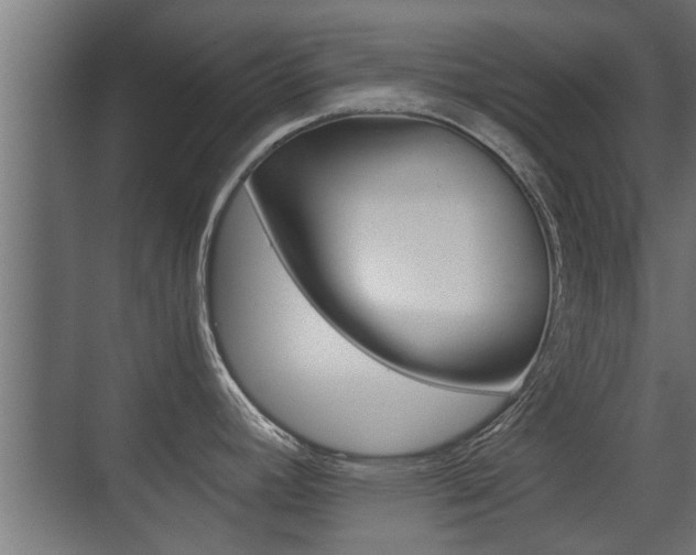 X0000071381392200606230902