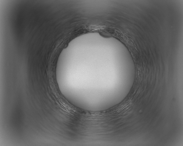 X0000071381393200606230902