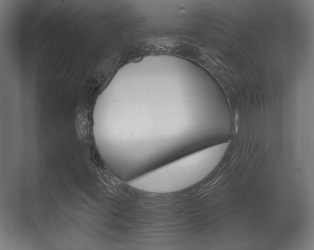 X0000071381395200606230902
