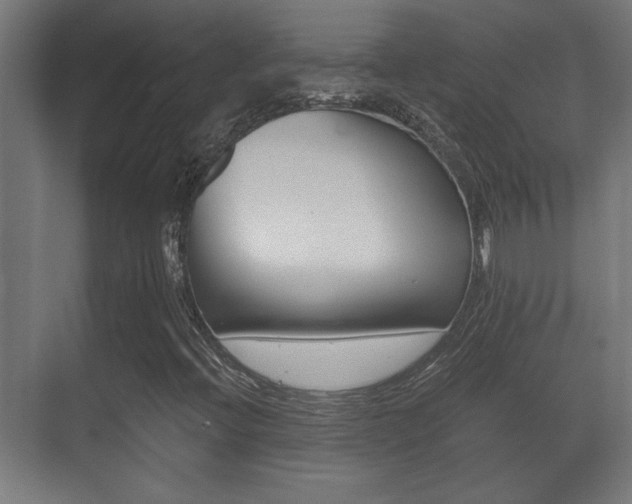 X0000071381396200606230902