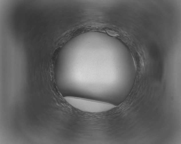 X0000071381397200606230902