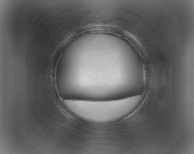 X0000071381403200606230902