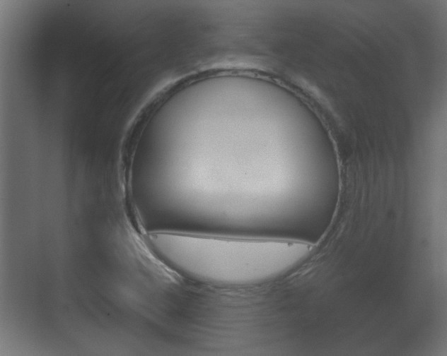 X0000071381408200606230902