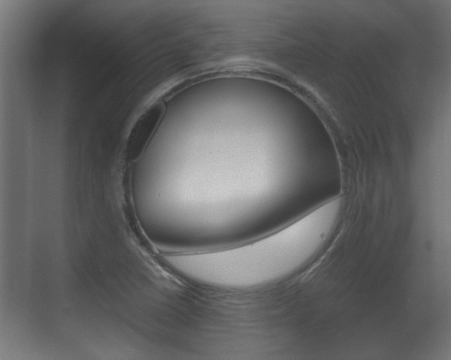 X0000071381410200606230902