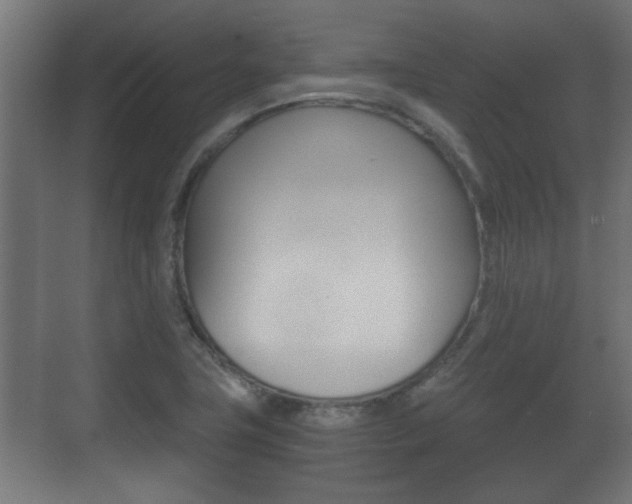 X0000071381411200606230902