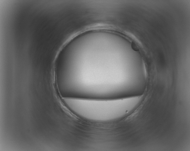 X0000071381413200606230902