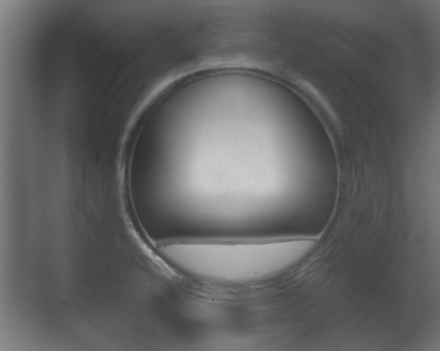 X0000071381416200606230902
